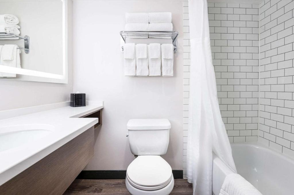 Comfort Suites Kingston Central
