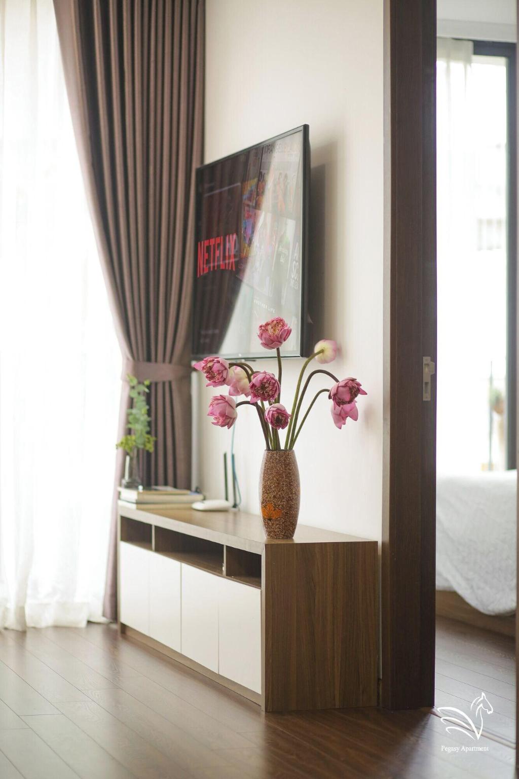 Pegasy Apartments & Travel