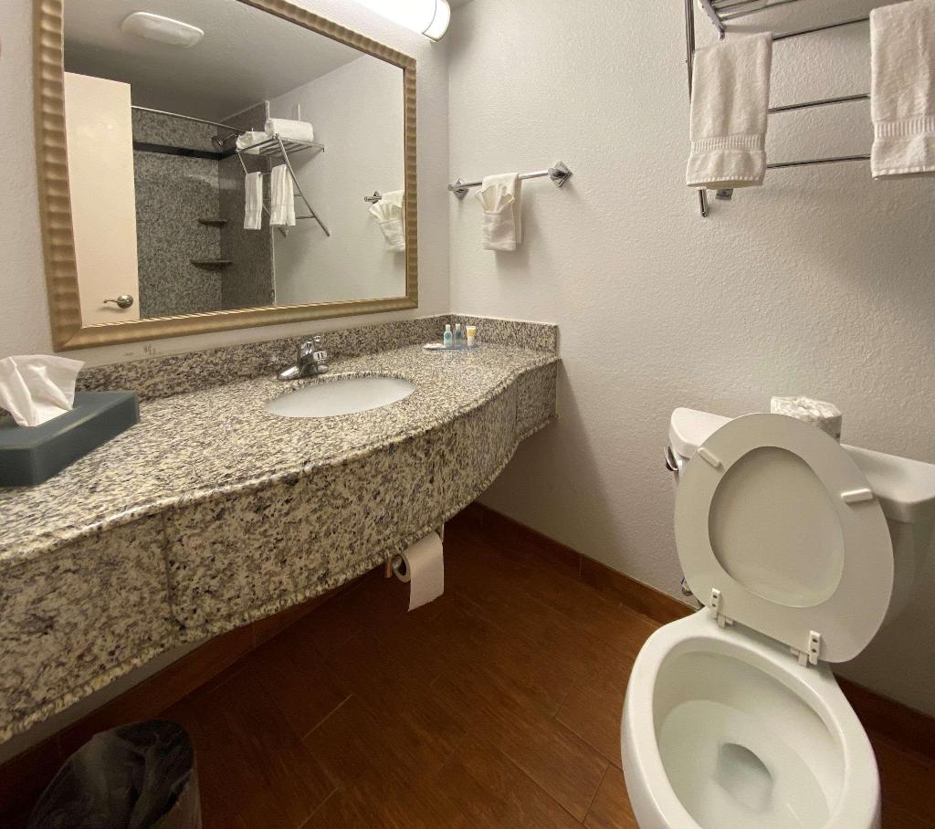Mainstay Suites Conover-Hickory
