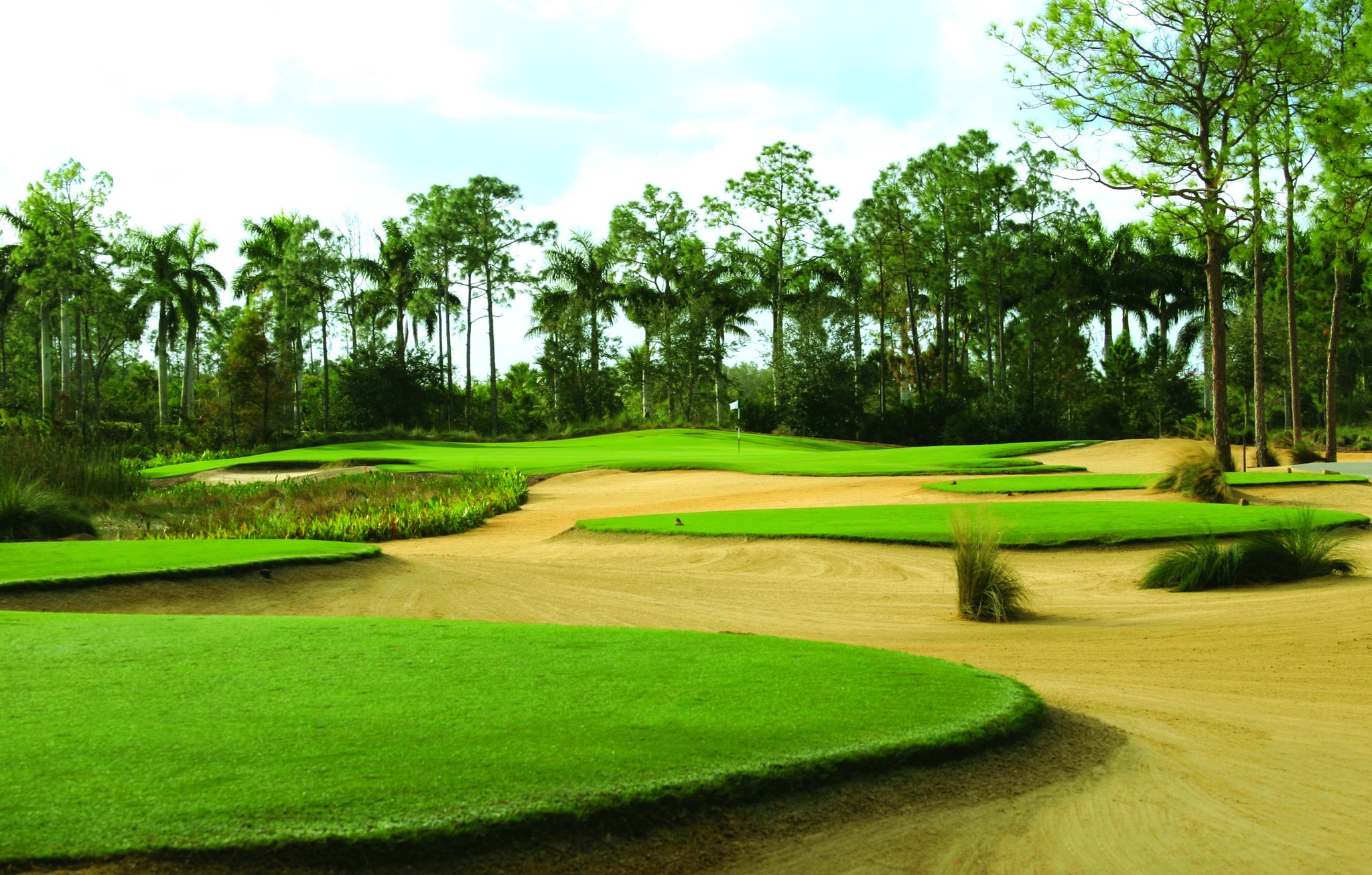 The RitzCarlton Golf Resort, Naples en Naples (and vicinity)