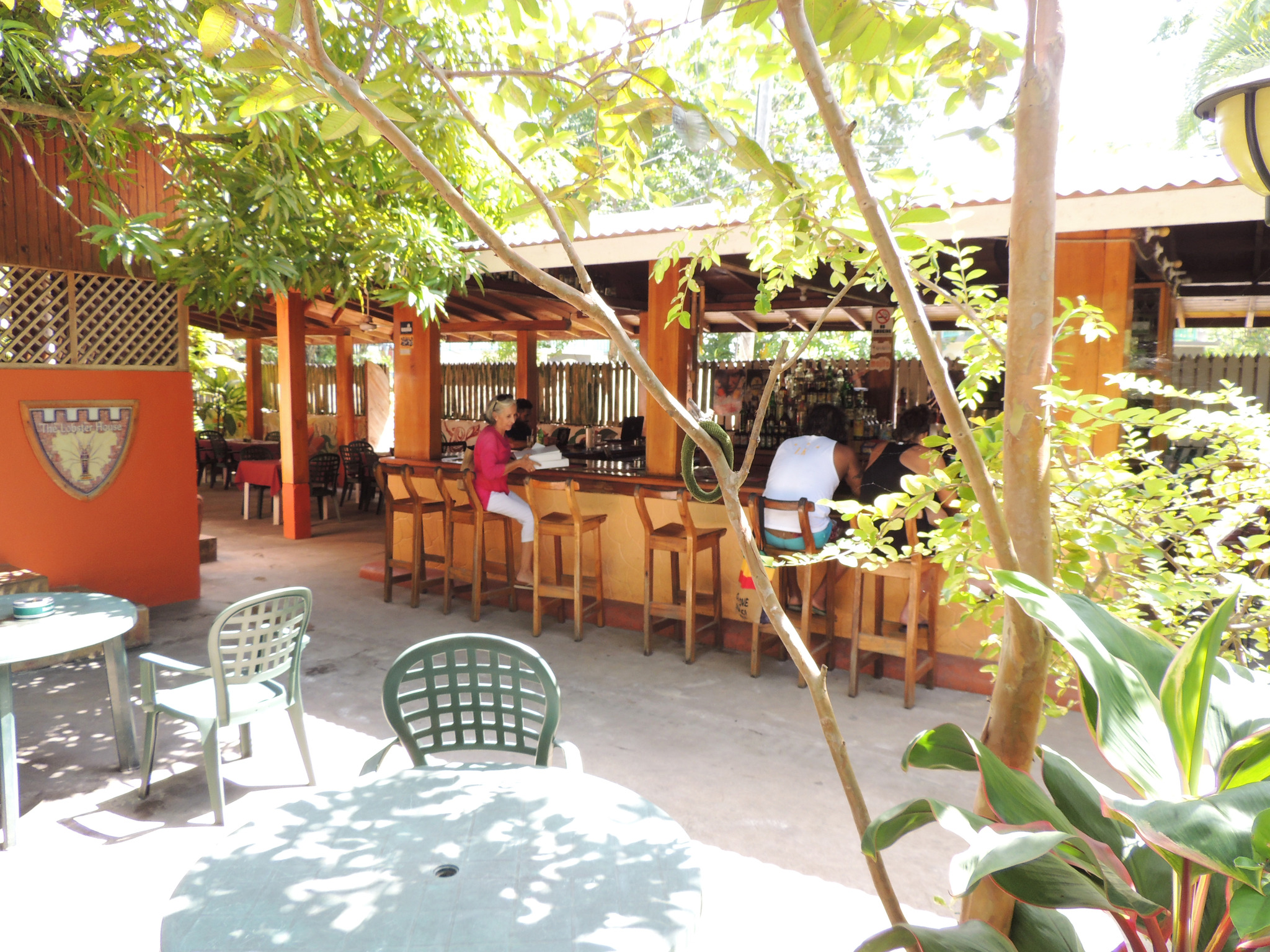 Sunrise club. Sunrise отель болгария. Равда вилла кариби. Sunrise club омск. Sunrise club hotel болгария.