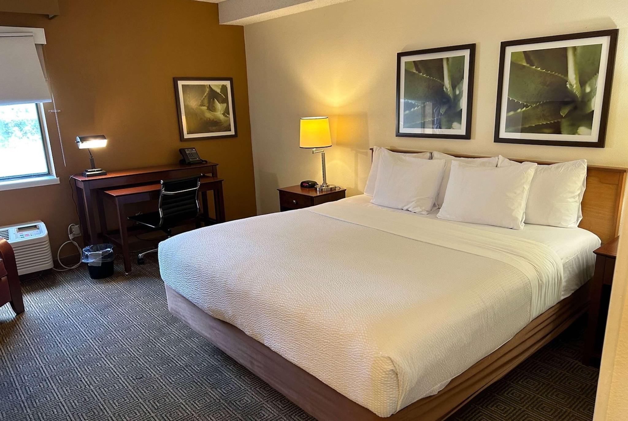 hotel-thumb