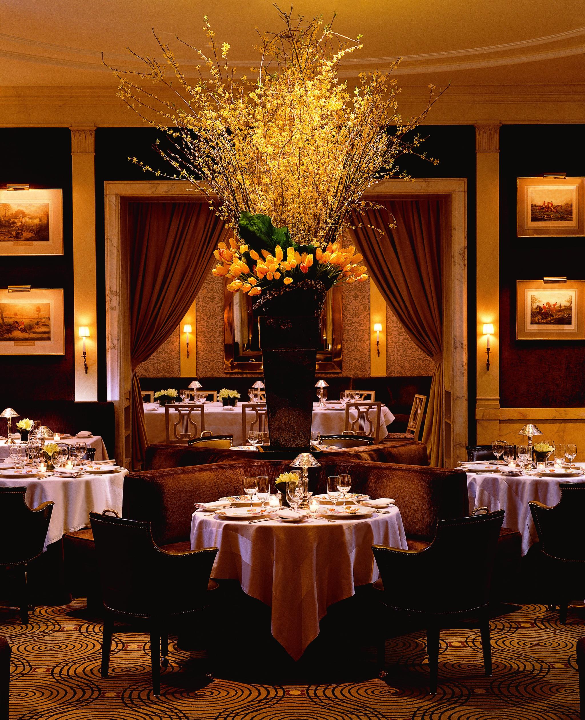 Carlyle Restaurant In Shirlington - b74gz5v