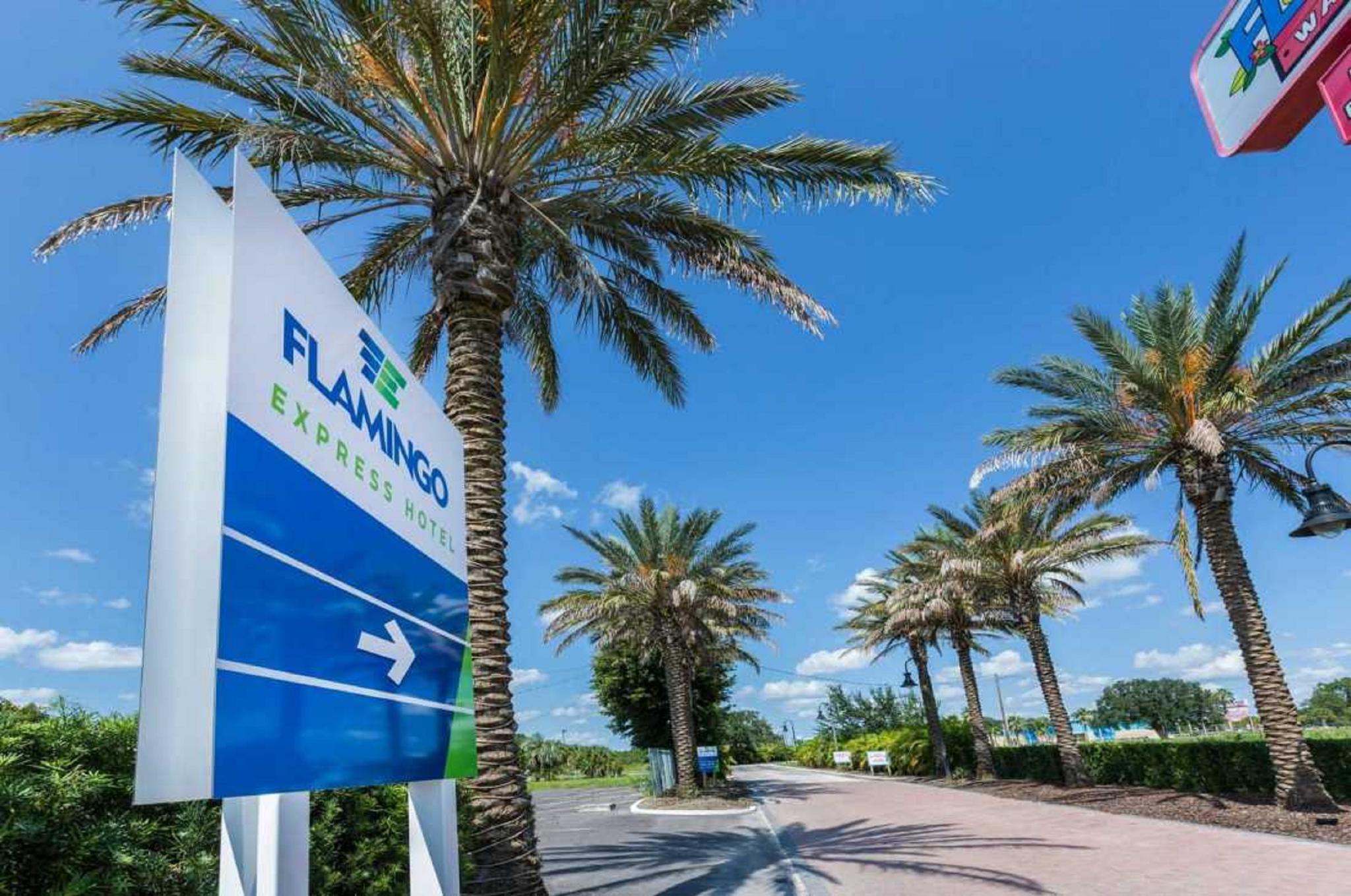 Flamingo Express Hotel en Orlando area | BestDay.com